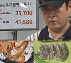 '나 혼자 산다' 이선민, 파주 아울렛→수산시장 가성비 쇼핑