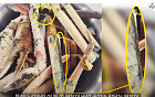 “노량진 대게 썩은 게 아닐 수도”…전문가가 제시한 근거는