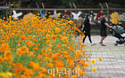 오늘은 '입추' 24절기 중 13번째 절기, 입추 뜻은?