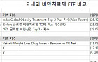 국내 ETF의 유별난 대장주 사랑…원인으로는 ‘ETF 규제’ 지목