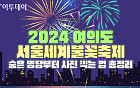 '2024 여의도 서울세계불꽃축제' 숨은 명당부터 사진 찍는 법 총정리 [그래픽 스토리]