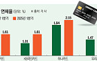 신용카드 연체율 10년만 최고…신용불량 사업자 1년 새 30%↑