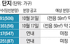 ‘분양가 20억’ 강남권 청약 출격…규제 무색 ‘현금부자’만 웃는다[10·15대책 후폭풍]