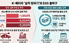 K-배터리 전기차 캐즘에 실적 '빙하기'…"ESS전환도 역부족"