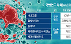 ‘국산 항암신약’ 미국 AACR 집결…기전·적응증 주목[항암시장 공략, K바이오①]