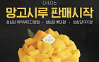 딸기시루 안녕… 성심당 망고시루가 온다