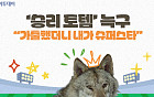 '승리 토템' 늑구…"가출했더니 내가 슈퍼스타" [요즘, 이거]