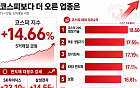 코스피 14.66% 뛸 때 더 오른 업종은…전기전자·보험·제조 ‘초과수익’