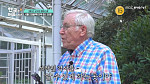 ‘어서와 한국은’ 마크 피터슨 교수, 뼈해장국&순대국→보쌈&들기름 막국수 등 한식 정복