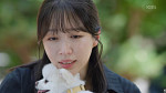 [종합] '사랑이 온다' 하석진, 식당 온 하니 위해 김치볶음밥 조리…13화 '한결' 가출 예고