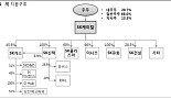 SK케미칼, 지주회사체제 전환..