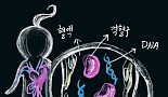 Grail, 2건의 깜짝뉴스중 'NEJM 논문' 의미