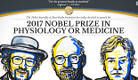 노벨생리의학상, 美 과학자 공동수상..생체리듬 조절 'period' 규명