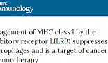 대식작용 억제하는 2nd 면역관문분자 'LILRB1' 규명