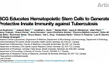 BCG 유도 조혈모세포, 결핵백신 개발 새 접근법 제시