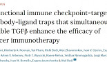 약물 저항성 극복할 CTLA-4·TGF-β 타깃 이중항체 ‘Y-trap'