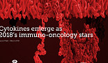 IL-2, IL-15 등 사이토카인, 면역항암제 스타로 뜰까
