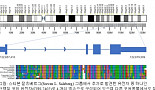 [김태형의 게놈이야기]'다시 늘어난' 인간 유전자 수