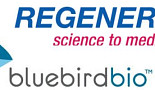 리제네론, 블루버드와 CAR-T 공동개발..