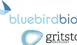블루버드바이오, Gritstone과 'TCR 치료제' 개발협력