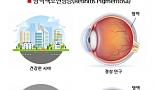 올릭스, 망막색소변성증 RNAi 신약 개발..