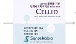 신테카바이오-셀리드 