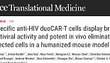 HIV 감염된 면역세포 잡는 새로운 ‘duoCAR-T’ 등장