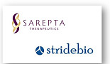 사렙타, 스트라이드 'AAV 치료제' 도입..