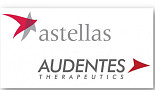 아스텔라스 'AAV치료제 개발' 아우덴테스 '30억弗 인수'