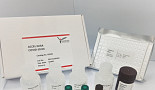 플렉센스, '고속·고감도' ELISA 코로나19 진단 개발