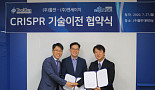 툴젠, 엔세이지에 크리스퍼 유전자가위 기술이전