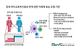 [BioS 레터]ICI 효능 촉진, '장내미생물' 역할과 기전
