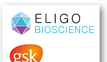 엘리고, GSK와 ‘마이크로바이옴 타깃 CRISPR’ “옵션 딜”