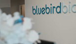 블루버드, 항암제사업 '스핀오프'..