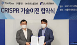 툴젠, 라트바이오에 CRISPR 기술이전..'신품종 소' 개발