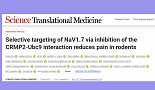 'NaV1.7-CRMP2' 타깃 진통제 저분자물질 