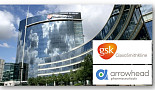GSK, 애로우헤드 NASH ‘GalNAc-RNAi’ 