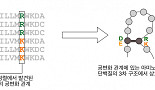 [남궁석의 신약연구史]단백질 진화정보와 3차구조 예측