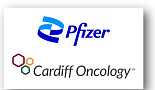 화이자, 'PLK1 저해제' 카디프에 1500만弗 지분투자