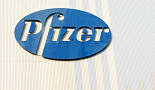 화이자 