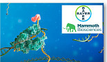 바이엘, 맘모스와 ‘in vivo CRISPR’ 간질환 10억弗 옵션딜