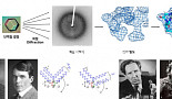 [남궁석의 신약연구史]X선 결정학과 단백질 구조규명