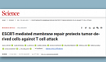 제넨텍, 암세포 ESCRT 이용 