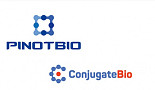 피노바이오, 컨쥬게이트와 ADC 개발 
