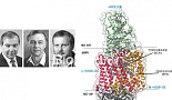 [남궁석의 신약연구史]막단백질 구조 규명