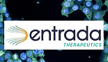 엔트라다, ‘EEV 엑손스키핑' DMD 임상 “IND 보류”
