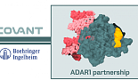 베링거, 코반트와 ‘ADAR1 저해제’ 발굴 4.8억弗 딜