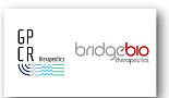 지피씨알, 브릿지바이오에 ‘CXCR4/LPA1 저해제’ L/O