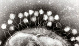 ‘CRISPR-Cas9’ 유전자 가위, 그 무궁무진한 가능성