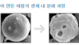 펩타이드 의약품, 글로벌시장서 다시 주목받는 이유